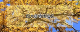 四大植物活化石,第1图