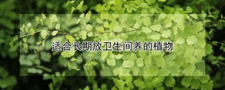 适合长期放卫生间养的植物,第1图