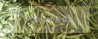 黄山产什么茶,第1图