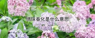 绣球春化是什么意思,第1图