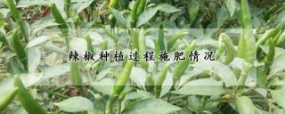 辣椒种植过程施肥情况,第1图