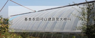 基本农田可以建蔬菜大棚吗,第1图