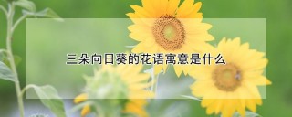 三朵向日葵的花语寓意是什么,第1图