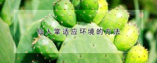 仙人掌适应环境的方法,第1图