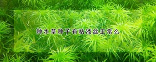 种水草种子有粘液丝正常么,第1图