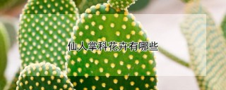 仙人掌科花卉有哪些,第1图