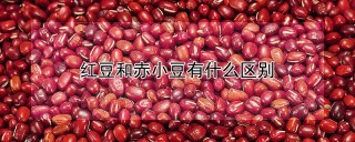 红豆和赤小豆有什么区别,第1图