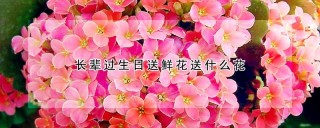 长辈过生日送鲜花送什么花,第1图