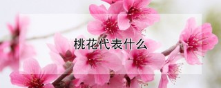 桃花代表什么,第1图