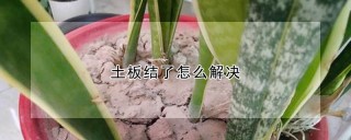 土板结了怎么解决,第1图