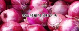 葱头种植时间和方法,第1图