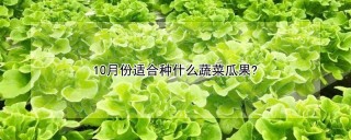 10月份适合种什么蔬菜瓜果?,第1图