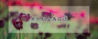 黑色郁金香花语,第1图