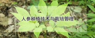 人参种植技术与栽培管理,第1图