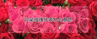 22朵玫瑰代表什么意思,第1图