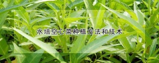 水培空心菜种植方法和技术,第1图