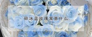 碎冰蓝玫瑰寓意什么,第1图