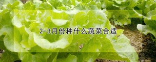 2-3月份种什么蔬菜合适,第1图