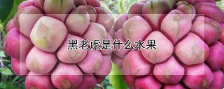 黑老虎是什么水果,第1图