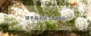 银手指长徒怎么砍头,第1图