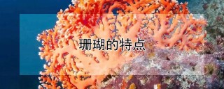 珊瑚的特点,第1图