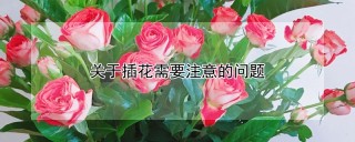 关于插花需要注意的问题,第1图