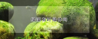 绿藻有叶绿体吗,第1图