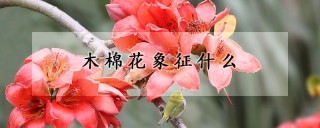 木棉花象征什么,第1图