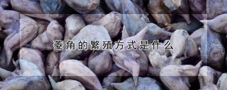 菱角的繁殖方式是什么,第1图