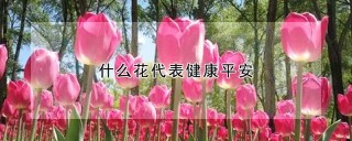 什么花代表健康平安,第1图