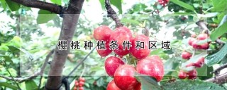 樱桃种植条件和区域,第1图