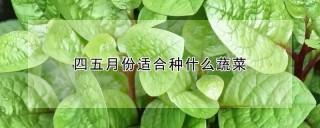 四五月份适合种什么蔬菜,第1图