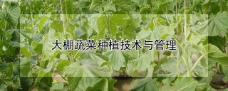 大棚蔬菜种植技术与管理,第1图