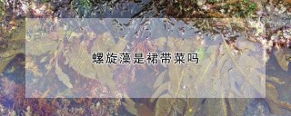 螺旋藻是裙带菜吗,第1图