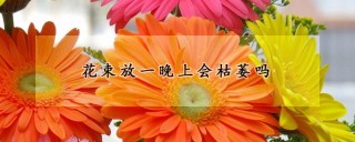 花束放一晚上会枯萎吗,第1图