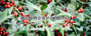 哪些植物会保护自己的方法,第1图