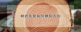 树的年轮如何辨别方向,第1图