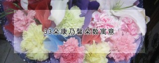 33朵康乃馨朵数寓意,第1图