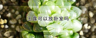 玉露可以放卧室吗,第1图