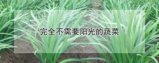 完全不需要阳光的蔬菜,第1图