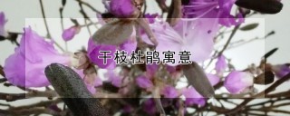 干枝杜鹃寓意,第1图