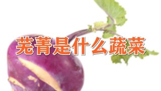 芜菁是什么蔬菜,第1图