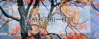 乌柏和乌桕一样吗,第1图