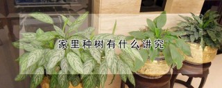 家里种树有什么讲究,第1图