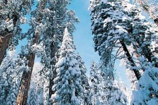 雪的寓意和象征,第2图