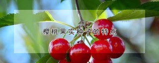 樱桃果实种子的特点,第1图