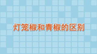 灯笼椒和青椒的区别,第1图