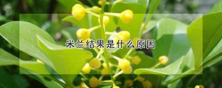 米兰结果是什么原因,第1图