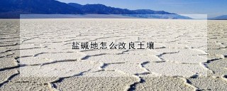 盐碱地怎么改良土壤,第1图