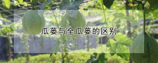 瓜蒌与全瓜蒌的区别,第1图